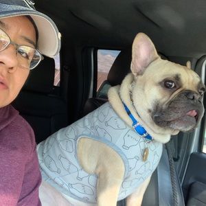 Meet your Posher, Denisse